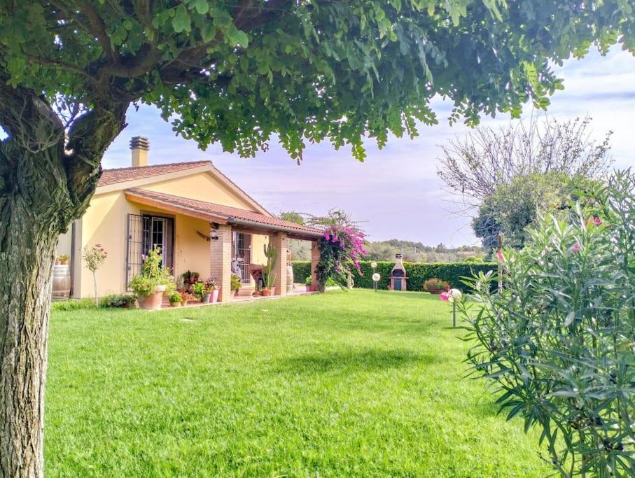 Villetta Rio, Large Private Garden Cecina  Exterior foto